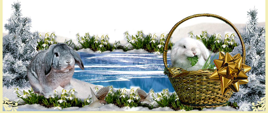 http://www.home-rabbit.ru/vesna/vesna-niz.jpg